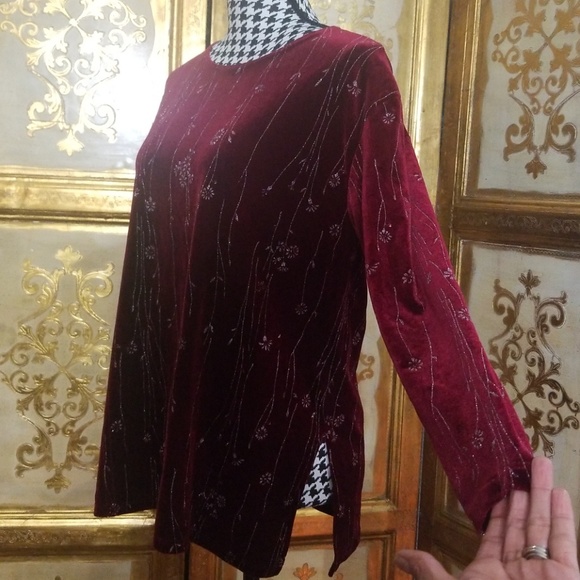 Beautiful Velvet Blouse - Picture 6 of 8